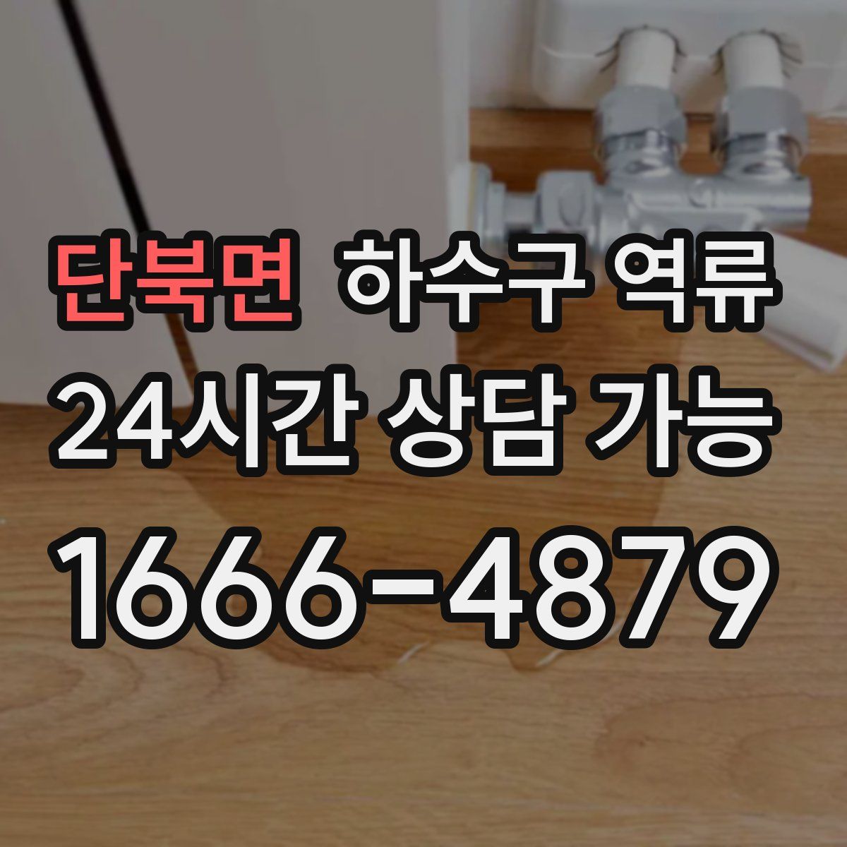 단북면 하수구 역류