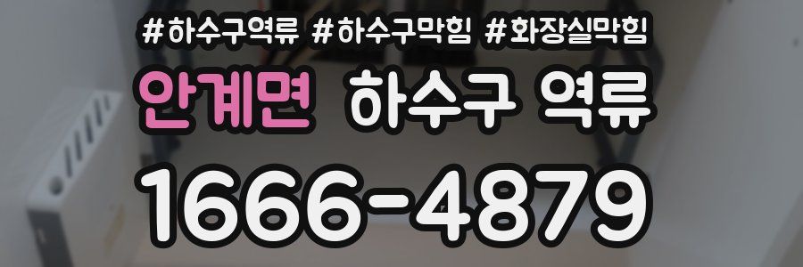 안계면 하수구 역류