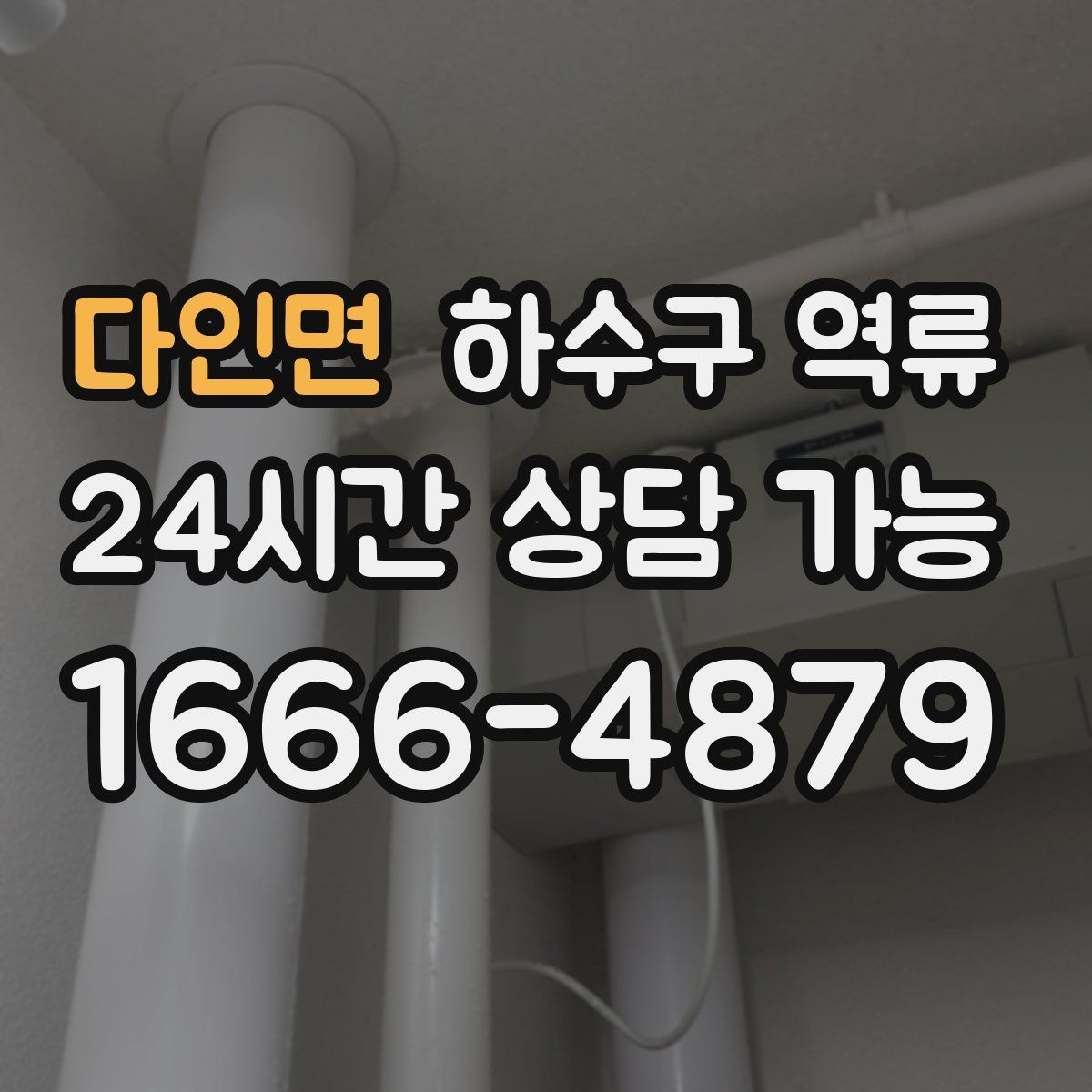 다인면 하수구 역류