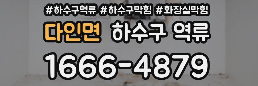 다인면 하수구 역류