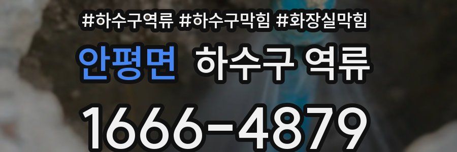 안평면 하수구 역류