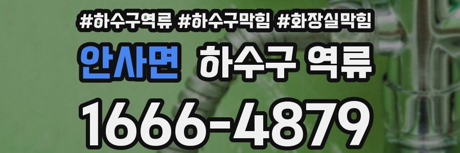 안사면 하수구 역류