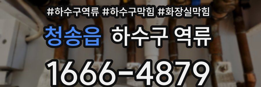 청송읍 하수구 역류