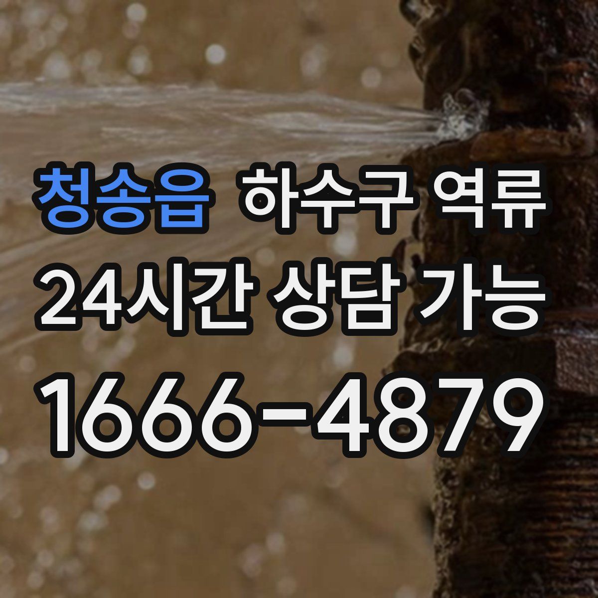 청송읍 하수구 역류