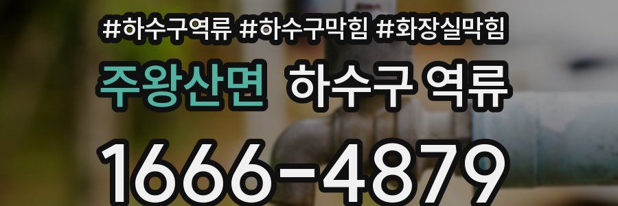 주왕산면 하수구 역류