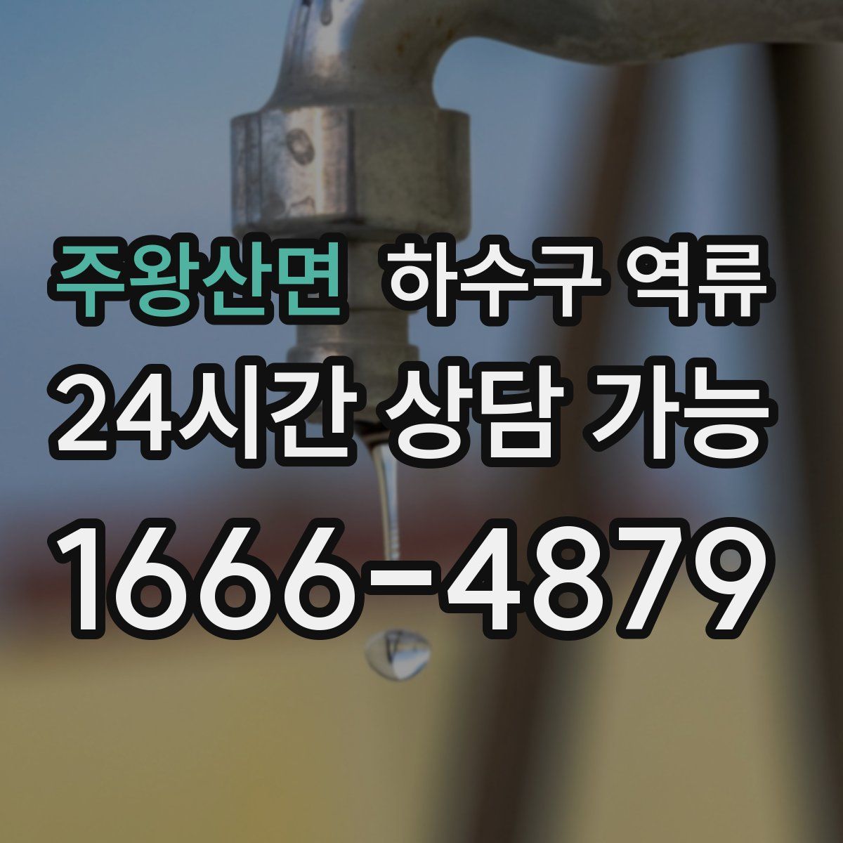 주왕산면 하수구 역류