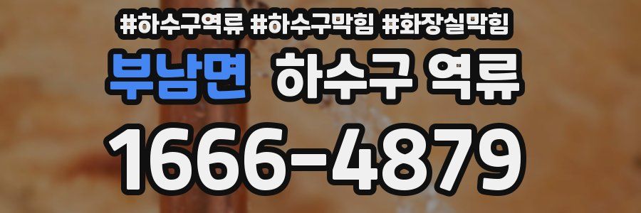 부남면 하수구 역류