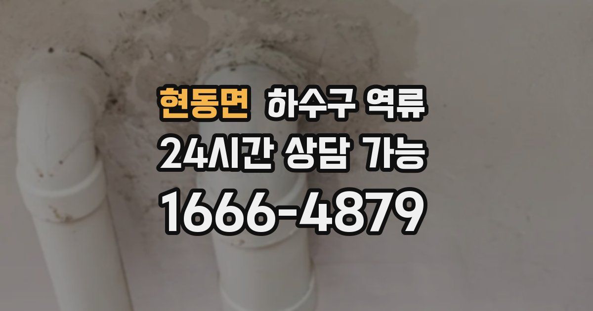 현동면 하수구 역류