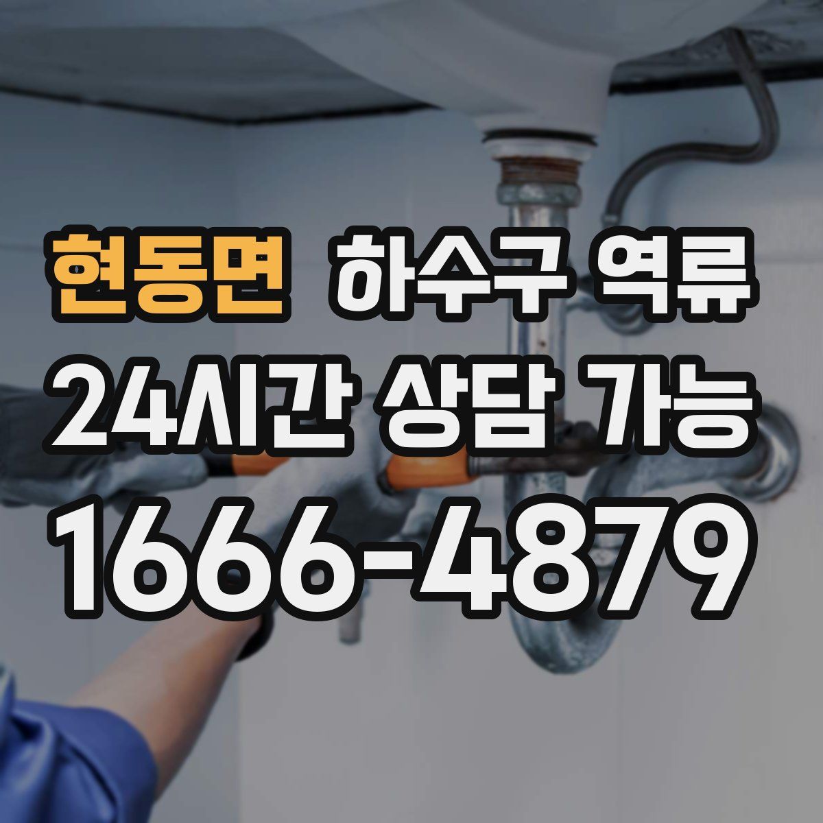 현동면 하수구 역류