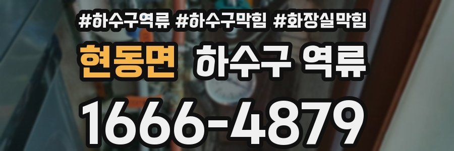 현동면 하수구 역류