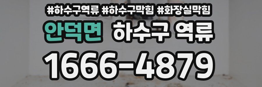 안덕면 하수구 역류