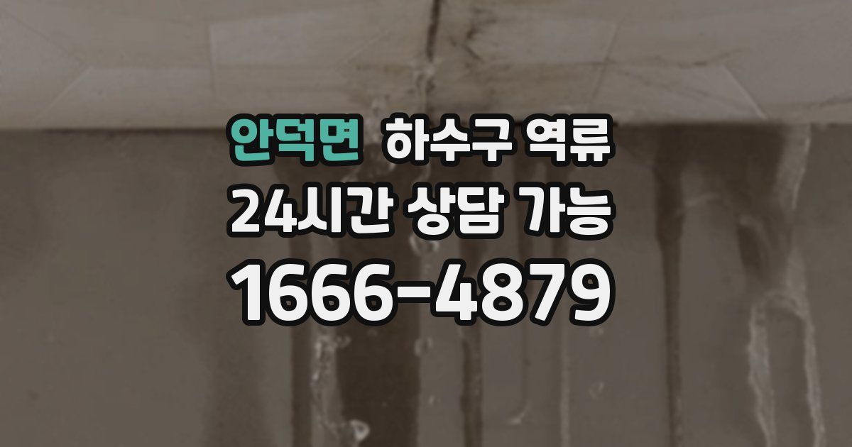 안덕면 하수구 역류