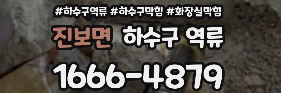 진보면 하수구 역류