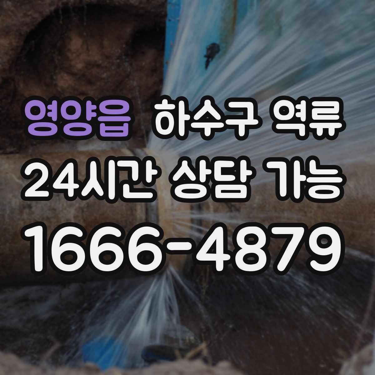 영양읍 하수구 역류