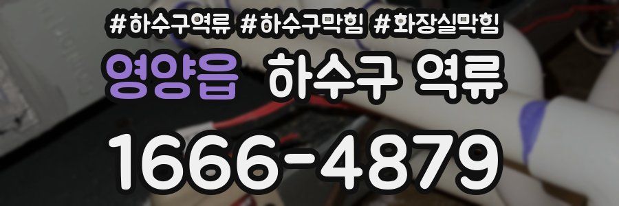 영양읍 하수구 역류