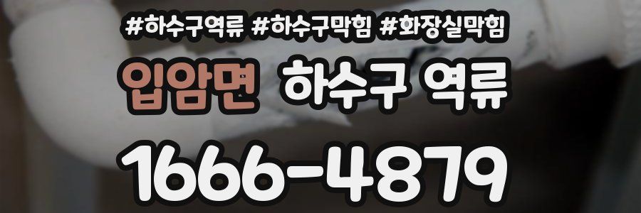 입암면 하수구 역류