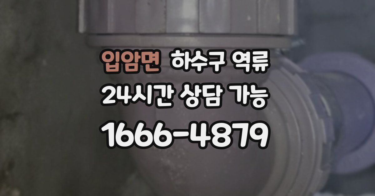 입암면 하수구 역류