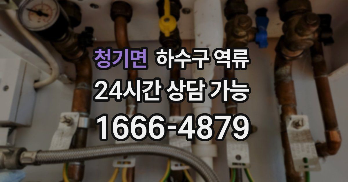 청기면 하수구 역류