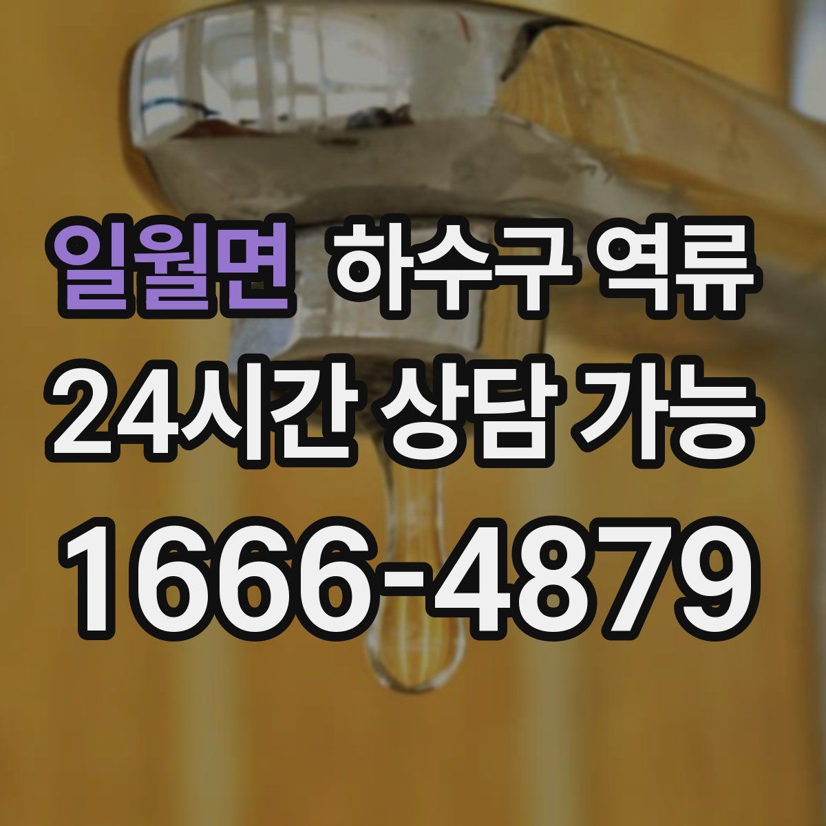 일월면 하수구 역류