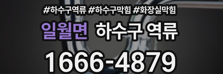 일월면 하수구 역류