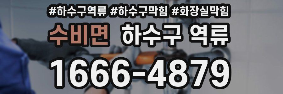 수비면 하수구 역류