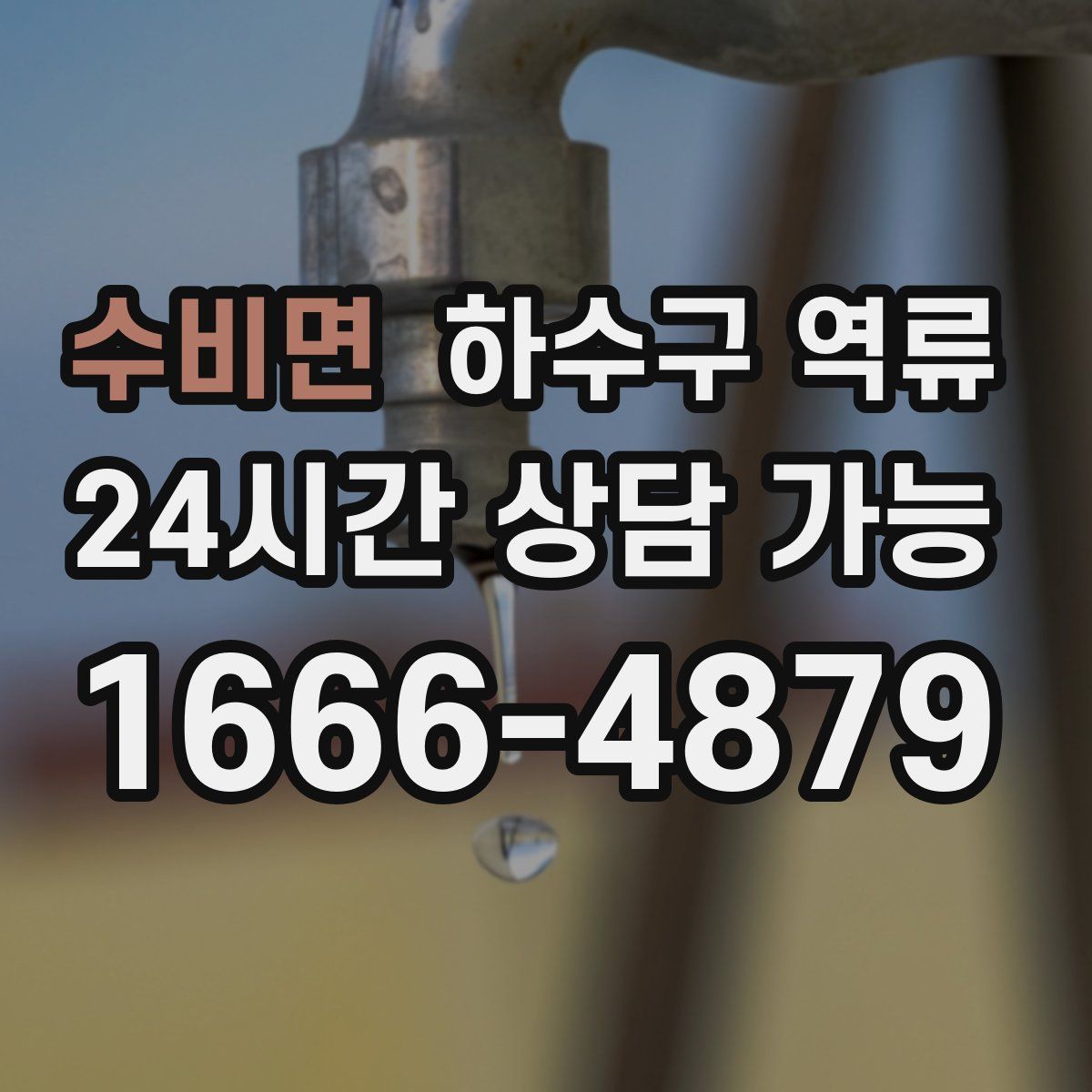 수비면 하수구 역류