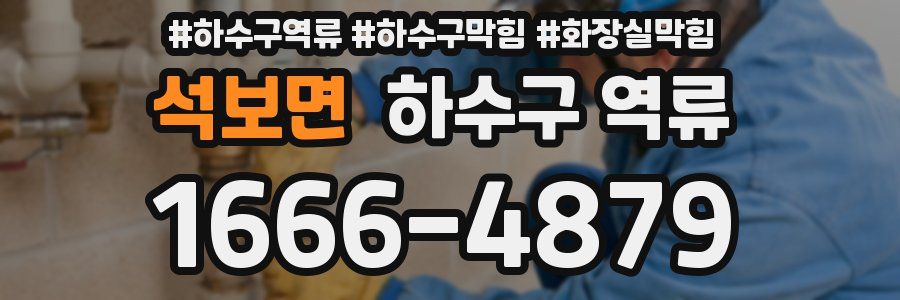 석보면 하수구 역류