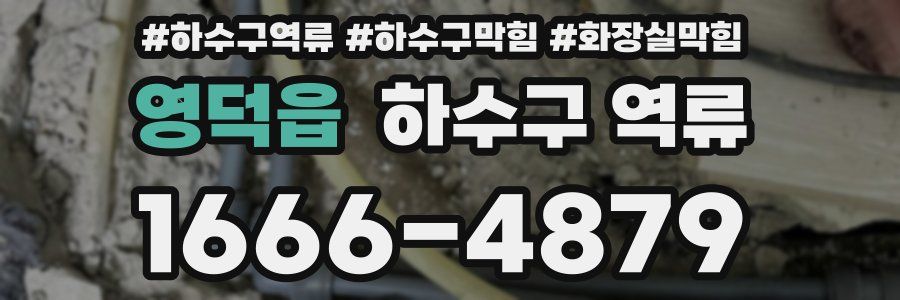 영덕읍 하수구 역류