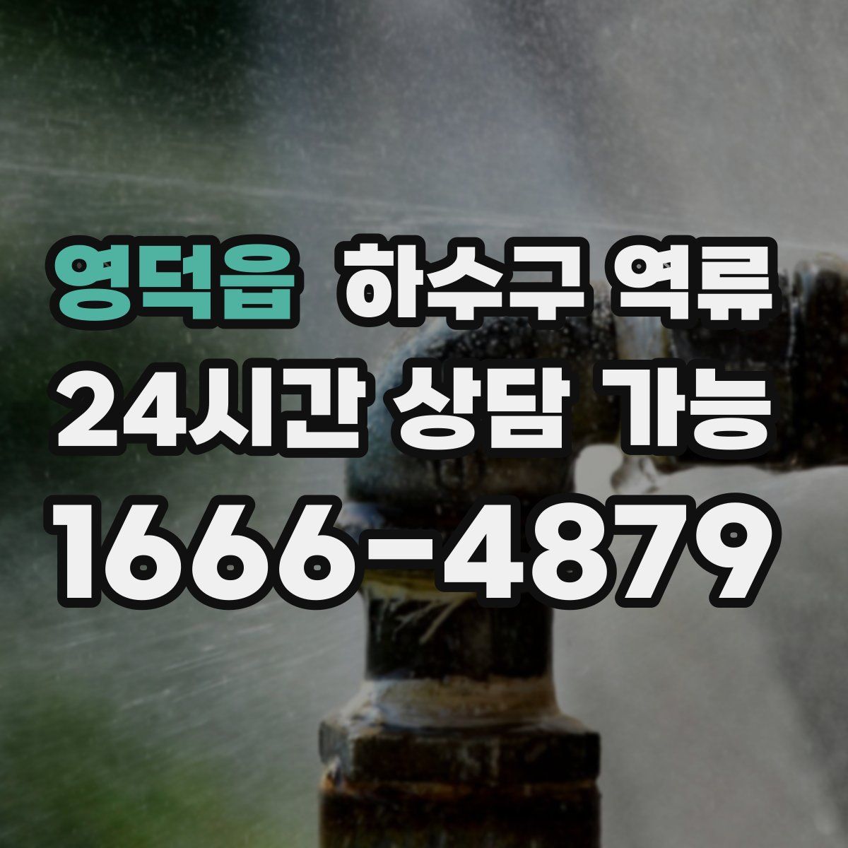 영덕읍 하수구 역류