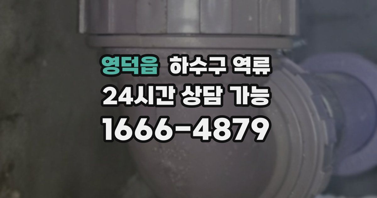 영덕읍 하수구 역류