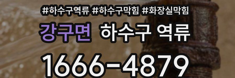 강구면 하수구 역류