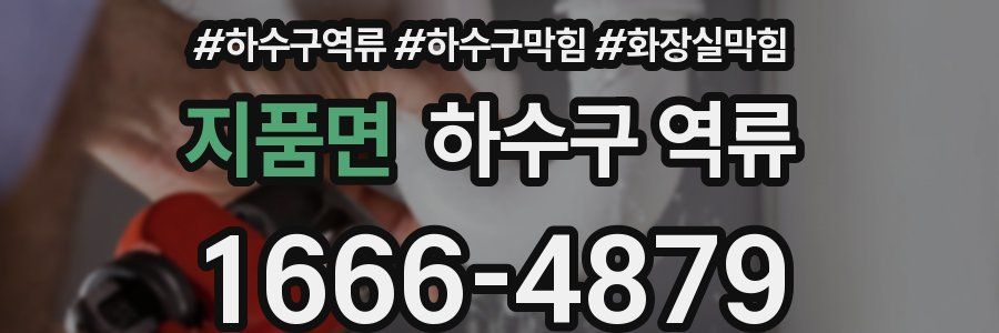 지품면 하수구 역류