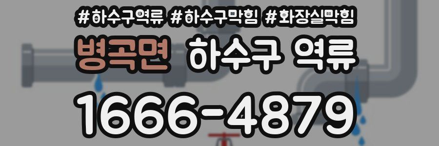 병곡면 하수구 역류
