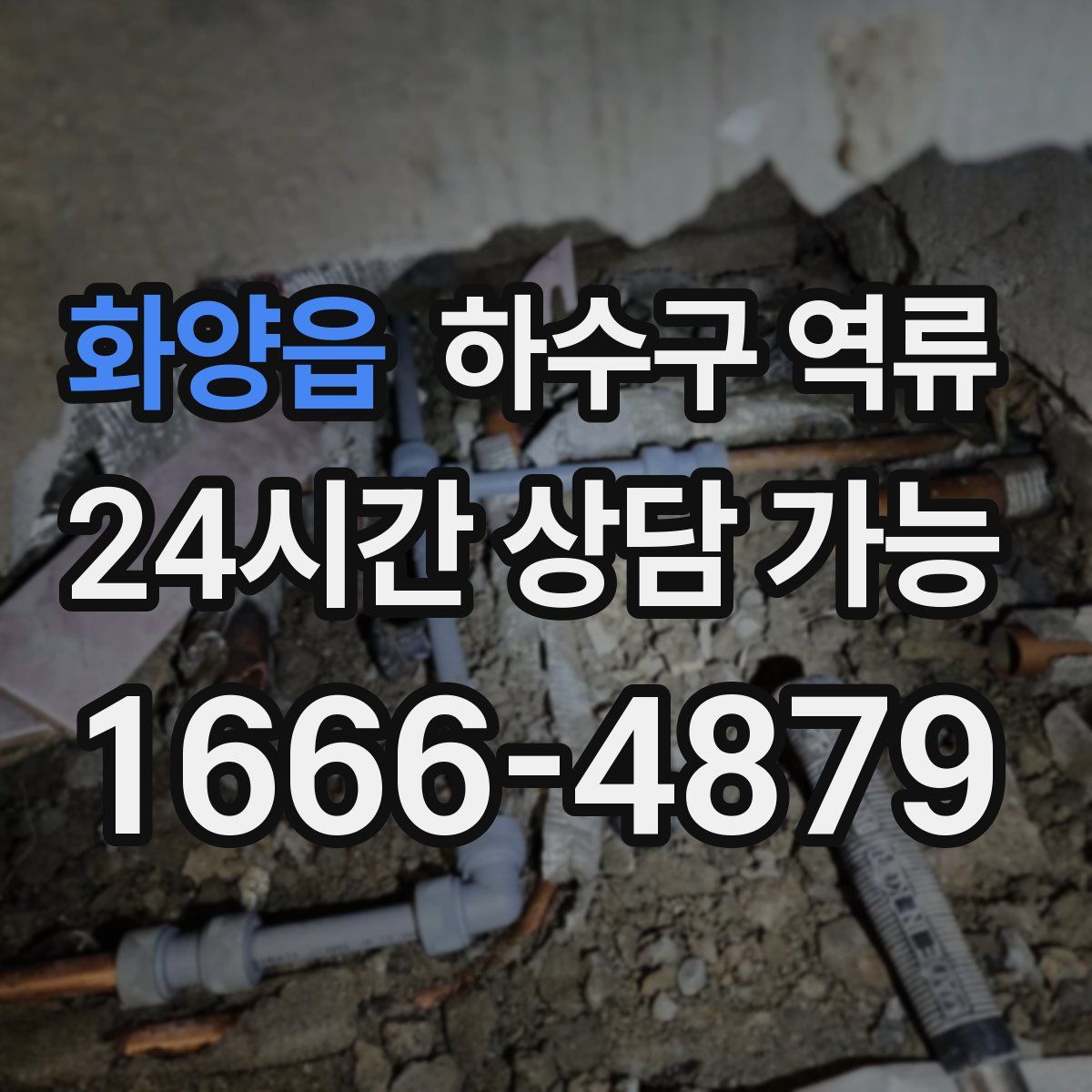 화양읍 하수구 역류