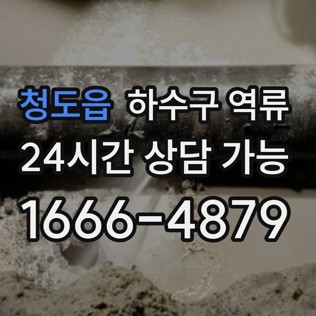 청도읍 하수구 역류