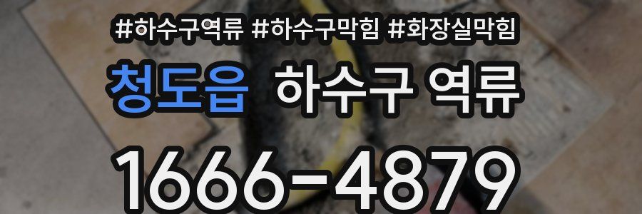 청도읍 하수구 역류