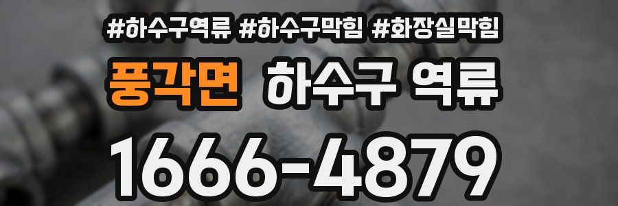 풍각면 하수구 역류