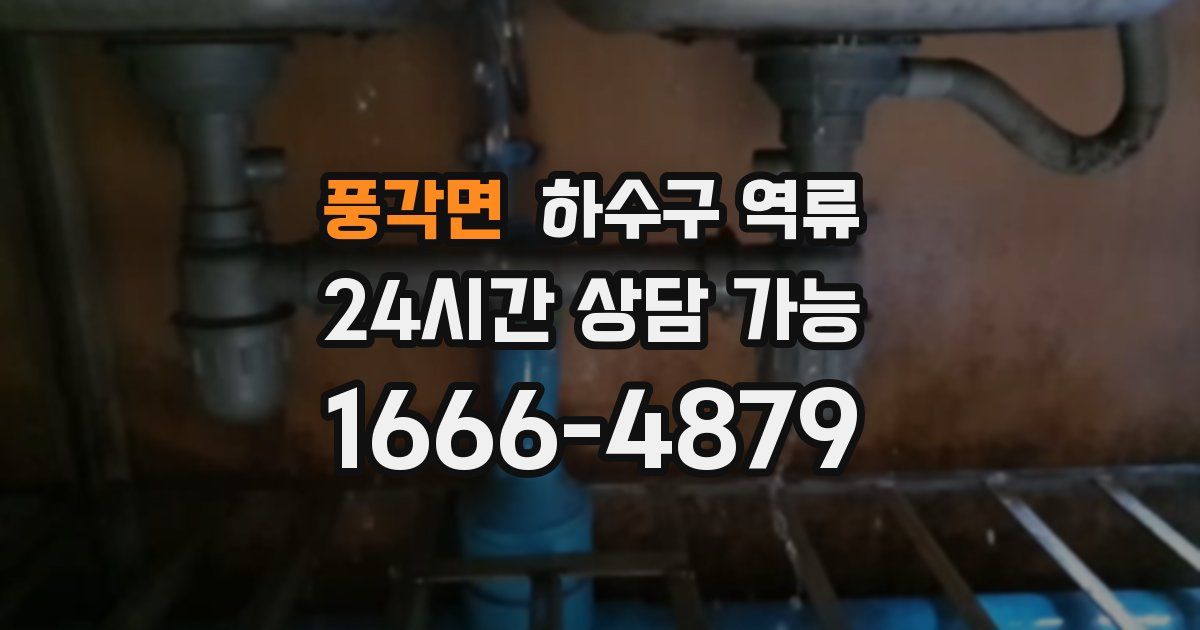 풍각면 하수구 역류