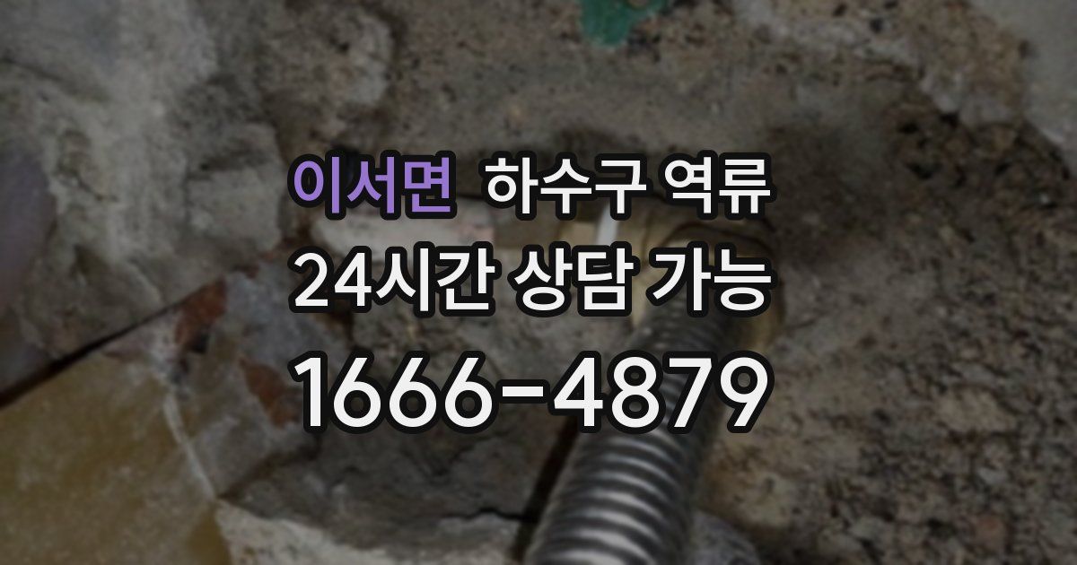 이서면 하수구 역류