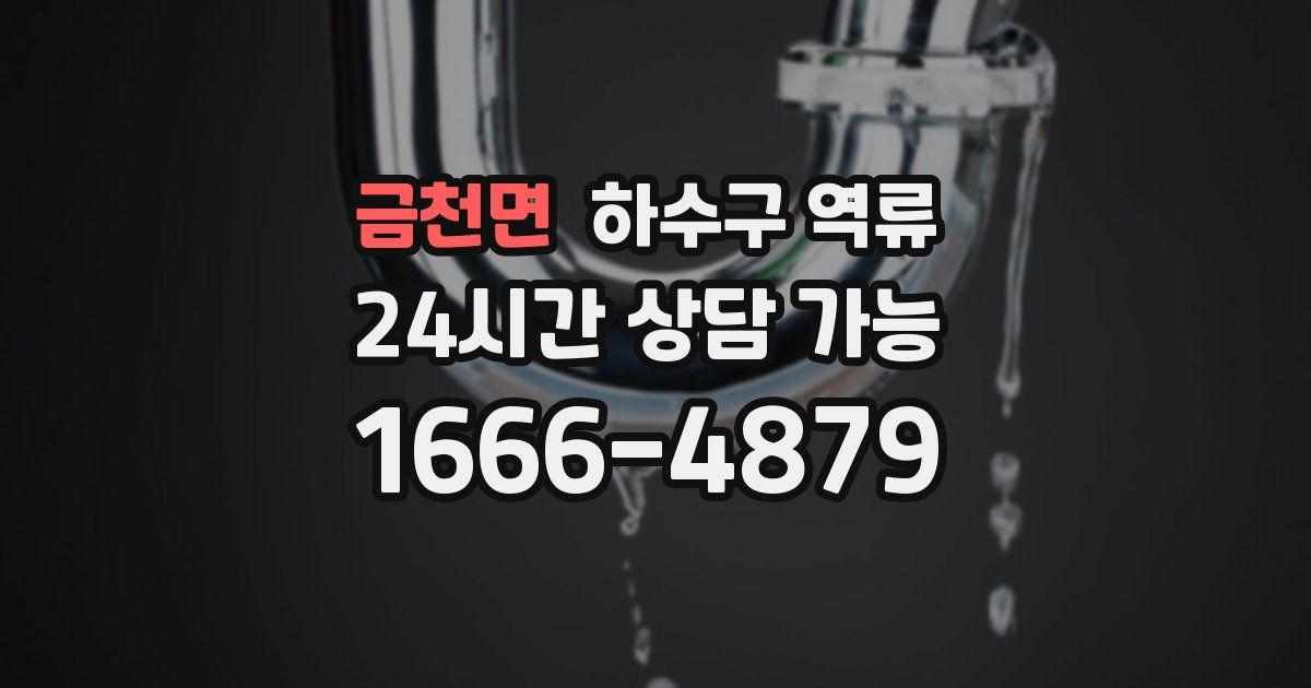 금천면 하수구 역류