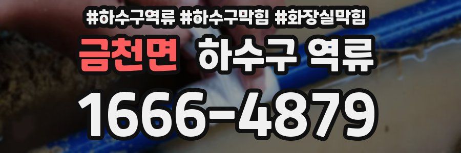 금천면 하수구 역류