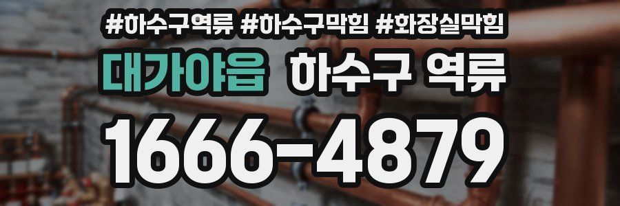 대가야읍 하수구 역류