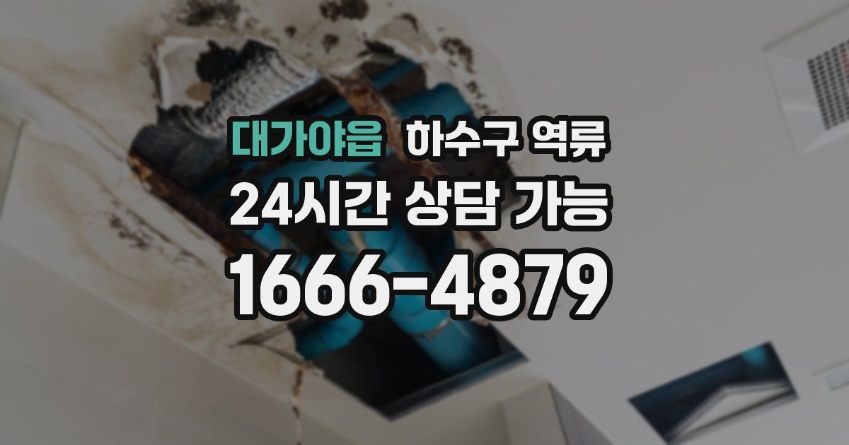 대가야읍 하수구 역류