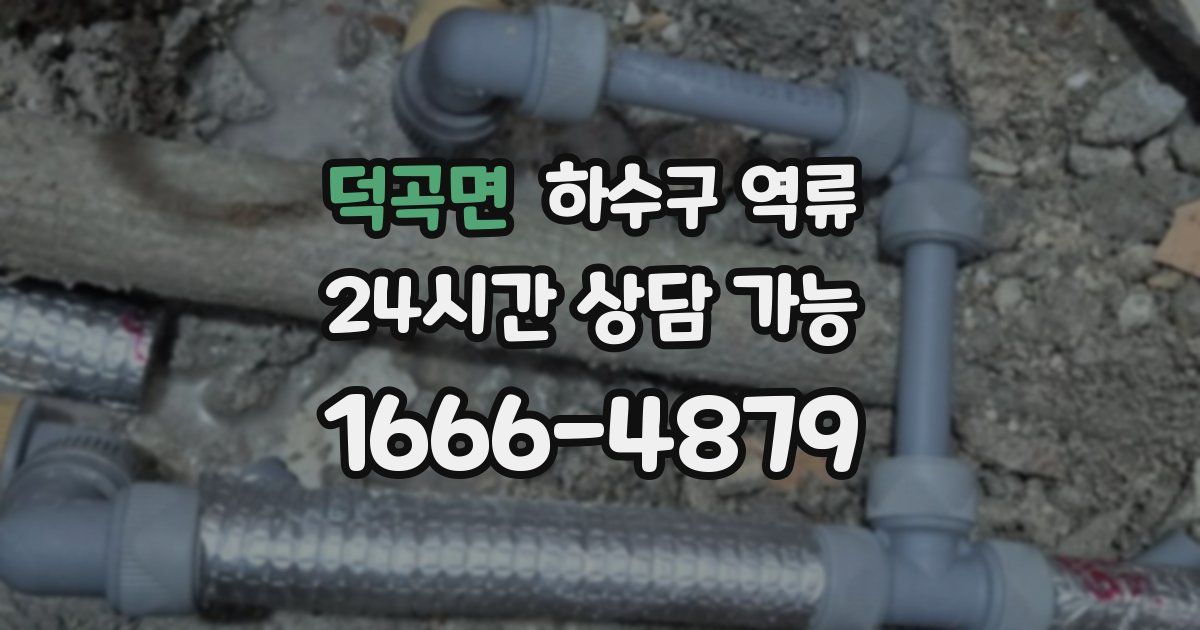 덕곡면 하수구 역류