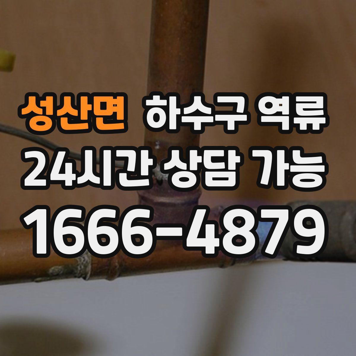 성산면 하수구 역류