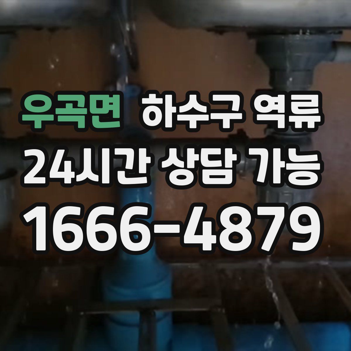 우곡면 하수구 역류