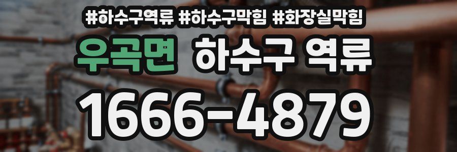 우곡면 하수구 역류