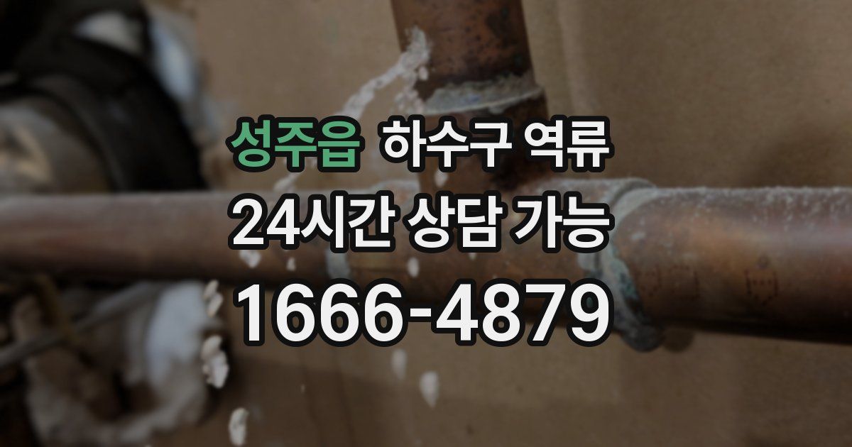 성주읍 하수구 역류