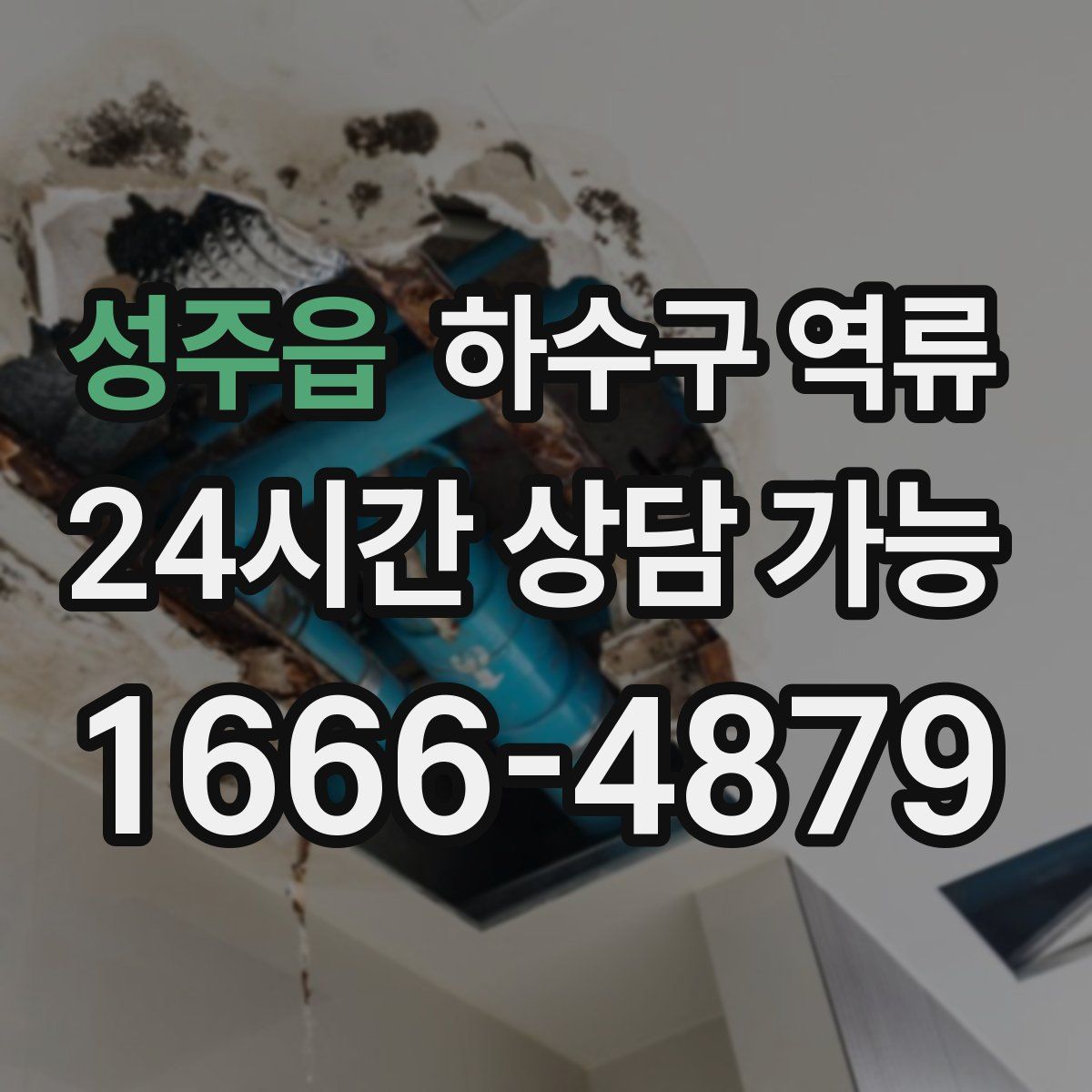 성주읍 하수구 역류