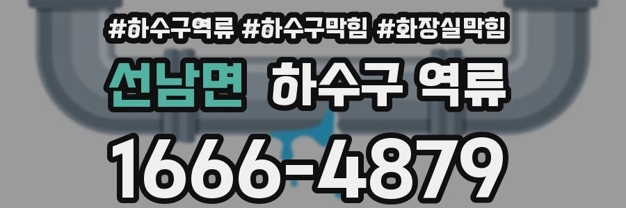 선남면 하수구 역류